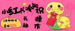 小红书冷知识账号，无脑复制粘贴，5分钟即可变现3张-一号资源库