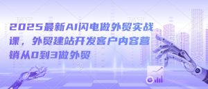2025最新AI闪电做外贸实战课，外贸建站开发客户内容营销从0到3做外贸-一号资源库