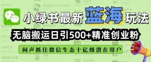小绿书无脑搬运引流,全自动日引500精准创业粉,微信生态内又一个闷声发财的机会-一号资源库