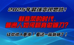 2025年最强变现思路,割韭菜的时代, 普通人如何翻身做镰刀?【揭秘】-一号资源库