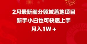 2月最新细分领域落地项目,新手小白也可快速上手,月入1W-一号资源库