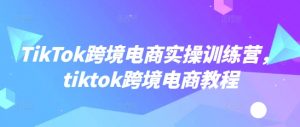 TikTok跨境电商实操训练营,tiktok跨境电商教程-一号资源库