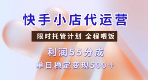 快手小店代运营3.0,模式新升级,收益55分,稳定单日5张【揭秘】-一号资源库