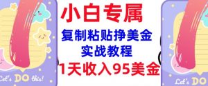 复制粘贴挣美金,0门槛,1天收入95美刀,3分钟学会,内部教程(首次公开)-一号资源库