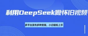 利用DeepSeek做怀旧视频，流量号多渠道变现能力强-一号资源库