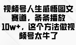 视频号人生感悟图文赛道，条条播放10w+，这个方法做视频号太牛了-一号资源库