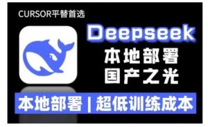 2025年deepseek R1 大型模型本地安装部署(文件+教程)本地部署，超低训练成本-一号资源库