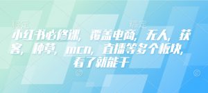 小红书必修课,覆盖电商,无人,获客,种草,mcn,直播等多个板块,看了就能干-一号资源库