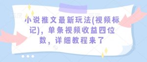 小说推文最新玩法(视频标记)，单条视频收益四位数，详细教程来了-一号资源库