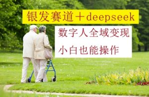银发赛道+deepseek数字人全域变现,小白也能操作-一号资源库