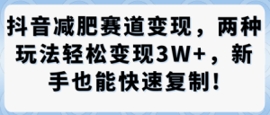 抖音减肥赛道变现，两种玩法轻松变现3W+，新手也能快速复制-一号资源库