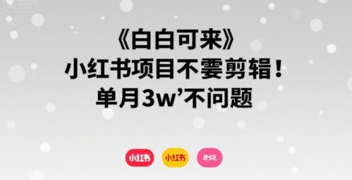 小白可来 小红书项目不需要剪辑 单月3w不是问题-一号资源库