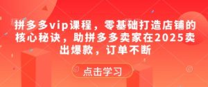 拼多多vip课程，零基础打造店铺的核心秘诀，助拼多多卖家在2025卖出爆款，订单不断-一号资源库