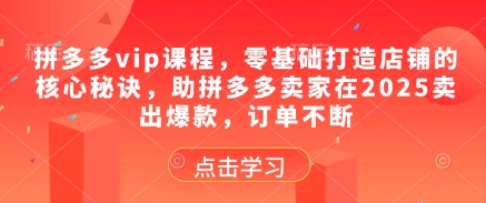 拼多多vip课程，零基础打造店铺的核心秘诀，助拼多多卖家在2025卖出爆款，订单不断-一号资源库