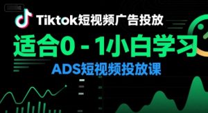 Tiktok短视频广告投放，适合0-1小白学习ADS短视频投放课-一号资源库