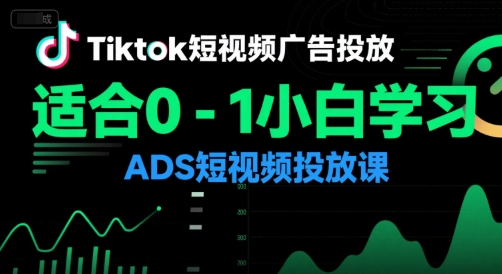 Tiktok短视频广告投放，适合0-1小白学习ADS短视频投放课-一号资源库