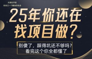 25年，你还在疯狂的找项目吗？别傻了，看完这个你都懂了【揭秘】-一号资源库