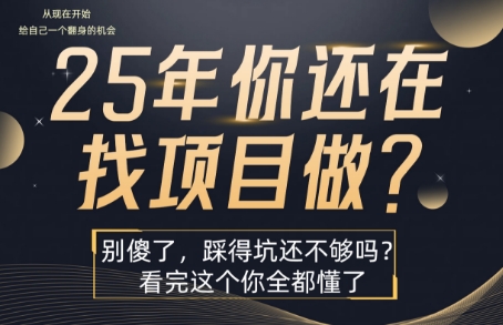 25年，你还在疯狂的找项目吗？别傻了，看完这个你都懂了【揭秘】-一号资源库