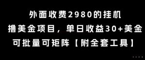 外面收费2980的挂G撸美金项目,单日收益30+美金,可批量可矩阵【揭秘】-一号资源库