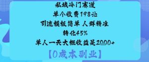 私域冷门赛道:单个收费198米引流模板简单人群精准转化45%单人一天大概收益是1k+-一号资源库