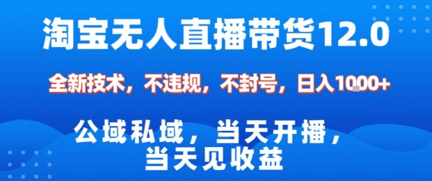 淘宝无人直播12.0，公域私域技术，不封号，不违规布局双十一流量风口，日入1k（独家技术）【揭秘】-一号资源库