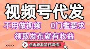 视频号代发，不用剪辑不用做视频，0门槛要求，领取发布就有收益，任务没有无上限，小白轻松上手【揭秘】-一号资源库