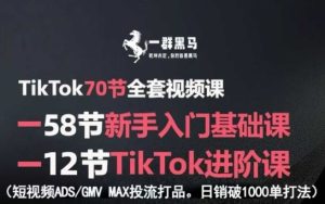 TikTok全套视频课，新手入门+进阶课，短视频ADS-GMV MAX投流打品，日销破1000单打法-一号资源库