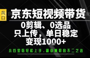 你出账号,我来运营,保底日入1k+,开启躺賺模式【揭秘】-一号资源库