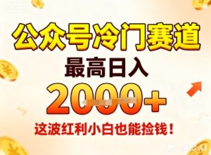 公众号冷门赛道,最高日入1k+,这波红利小白也能捡钱!-一号资源库