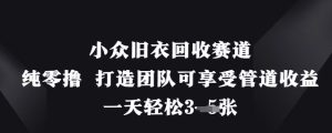 小众旧衣回收赛道，纯零撸 打造团队可享受管道收益，一天轻松3张-一号资源库