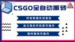 CSGO全自动搬砖，年底钱回家好项目，当天可拿到结果，新手小白轻松月入1W+【揭秘】-一号资源库