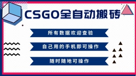 CSGO全自动搬砖，年底钱回家好项目，当天可拿到结果，新手小白轻松月入1W+【揭秘】-一号资源库