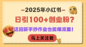 2025年小红书日引100+创业粉？这招新手抄作业也能爆流量！-一号资源库