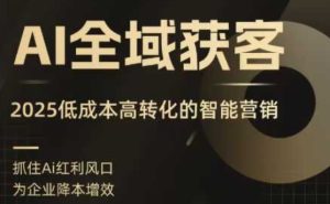 AI全域获客实训营，2025低成本高转化的智能营销，精准找客，高效营销-一号资源库