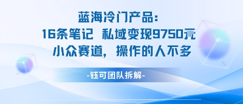 蓝海项目：16条笔记私域变现9750米小众赛道操作的人不多-一号资源库