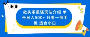 微头条最强玩法介绍一个号日入5张+只要一部手机适合小白-一号资源库