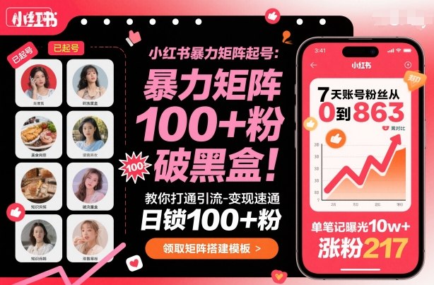 小红书暴力矩阵起号，教你打通引流-变现速通，日锁100+粉，破流量黑盒-一号资源库
