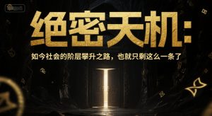 付费文章：绝密天机：如今社会的阶层攀升之路，也就只剩这么一条了-一号资源库