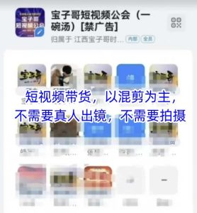 宝子哥头部团队短视频带货，以混剪为主，不需要真人出镜，不需要拍摄【更新8月】-一号资源库