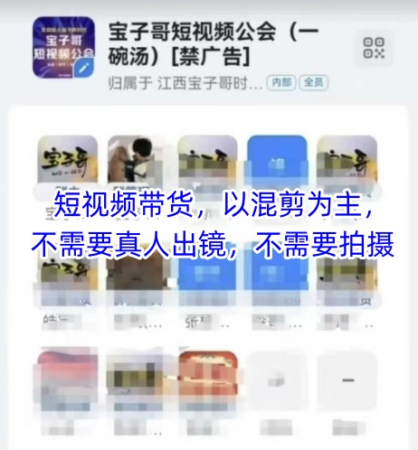 宝子哥头部团队短视频带货，以混剪为主，不需要真人出镜，不需要拍摄【更新8月】-一号资源库