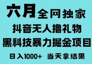 25年6月高爆抖音无人直播最新撸音浪掘金项目,门槛低小白可做,无脑日入1k,可矩阵放大【揭秘】-一号资源库