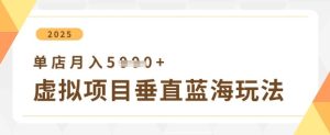 虚拟项目垂直玩法，实现单店月入5k+-一号资源库