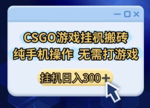 CSGO游戏挂G搬砖，小白纯手机即可操作，不用电脑打游戏，日入3张+，副业网创项目【揭秘】-一号资源库