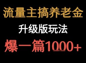 流量主之养老金升级版玩法  爆一篇收益1k+-一号资源库