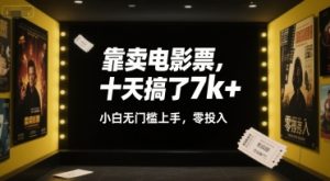 靠卖电影票，十天搞了7k+，小白无门槛上手，零投入【揭秘】-一号资源库
