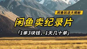 闲鱼卖纪录片1单3块钱，1天几十单，项目稳定有潜力-一号资源库