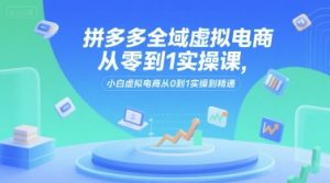 拼多多全域虚拟电商从零到1实操课，小白虚拟电商从0到1实操到精通-一号资源库