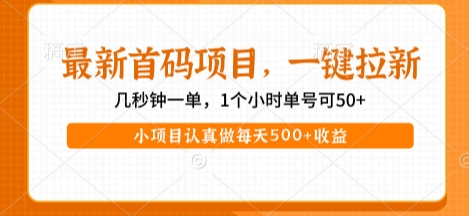 最新首码项目，操作最简单，收益高，一键拉新，1个小时单号可50+，小项目认真做每天5张+收益【揭秘】-一号资源库