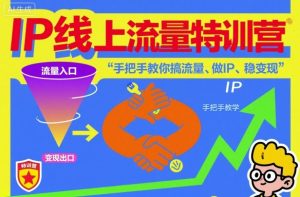 IP线上流量特训营，手把手教你搞流量、做IP、稳变现-一号资源库
