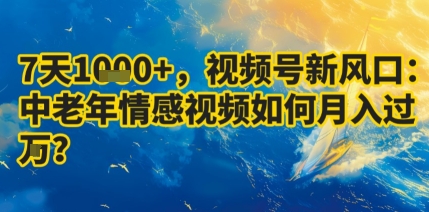 7天收益1k+，视频号新风口：中老年情感视频如何月入过W?-一号资源库